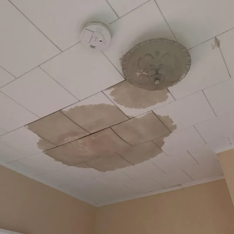 Ceiling Water Damage Repair in Hanover, MN