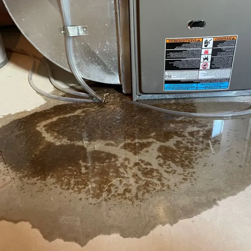 Pipe Burst and Leak Restoration in Hanover, MN