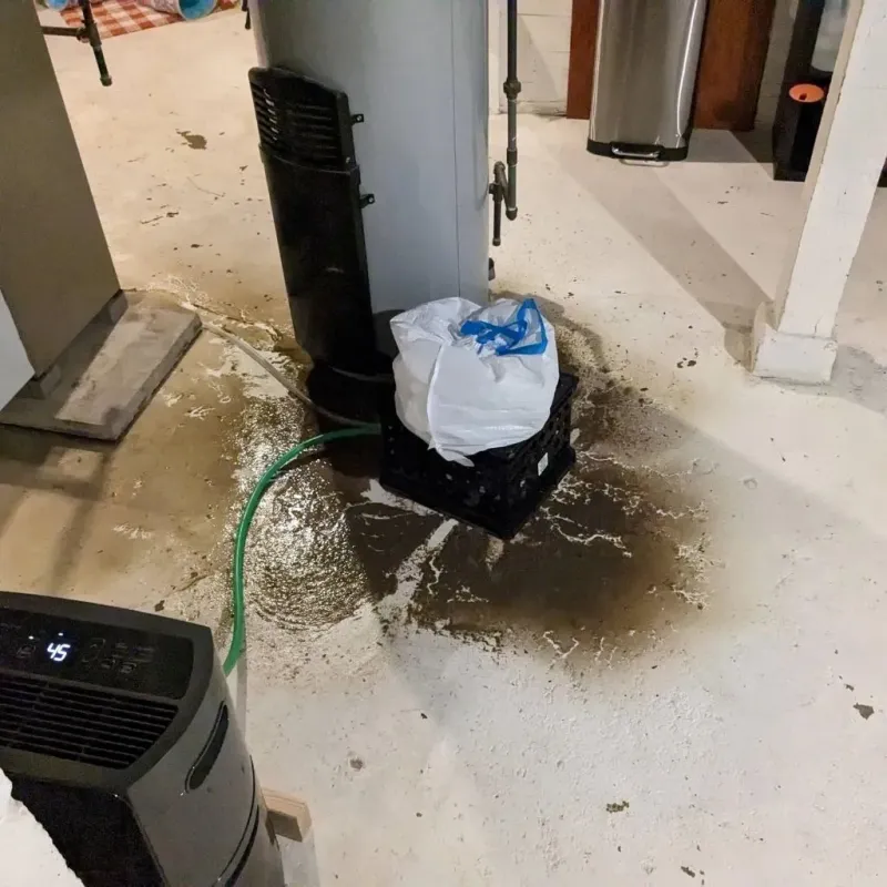 Sewage Backup Cleanup Service in Hanover, MN